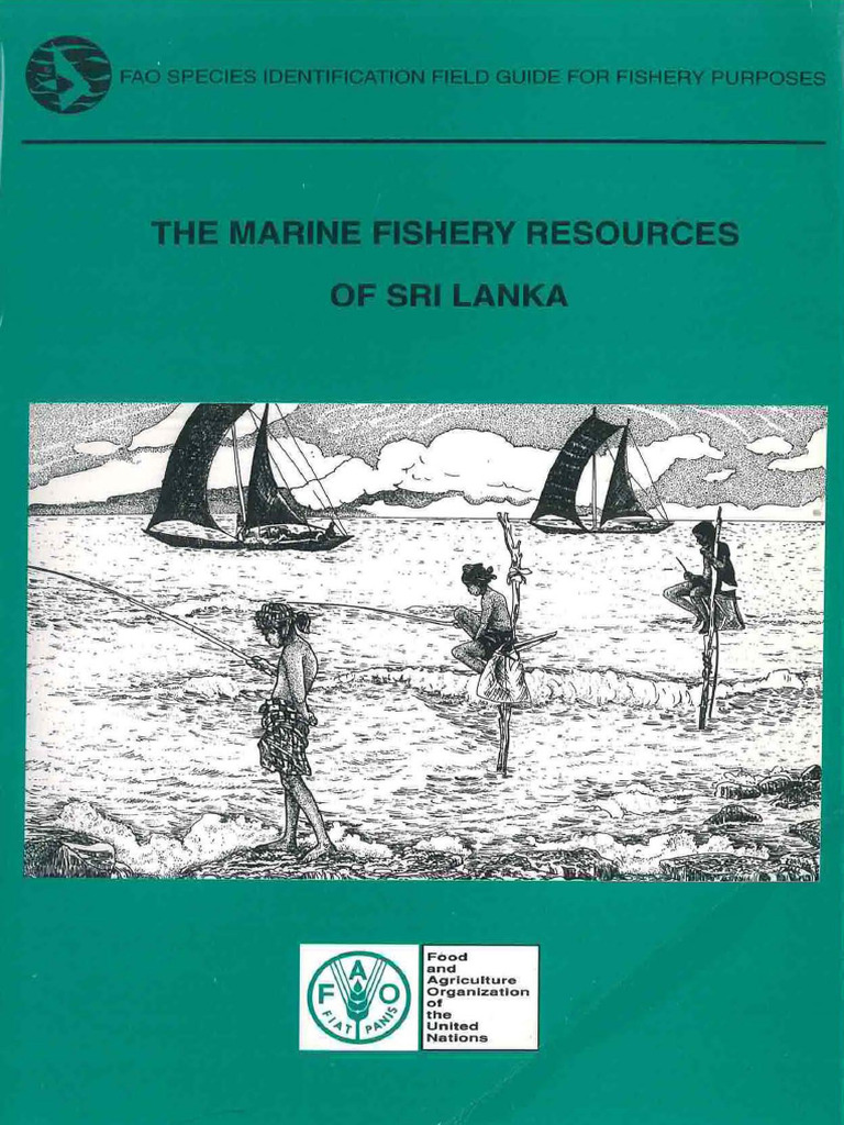 Fao Fish Identification | PDF