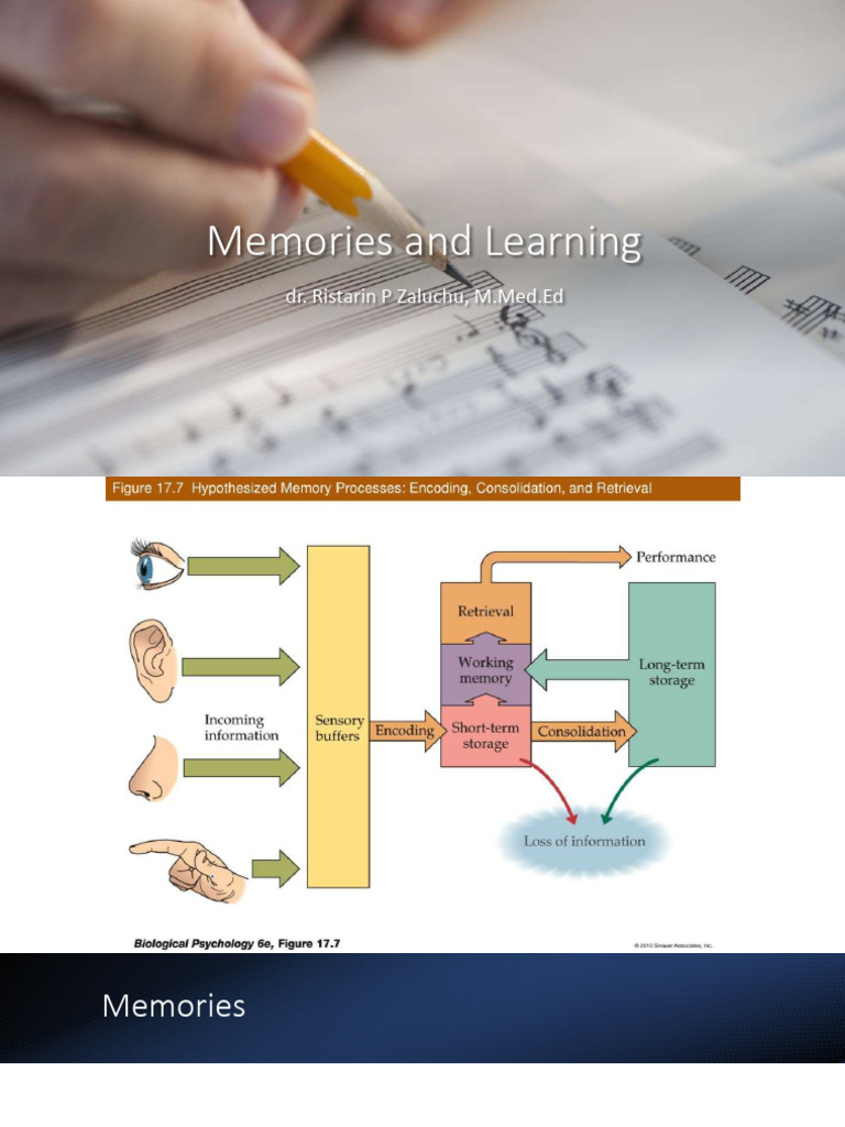 Enhancing Learning Through Memory Techniques | PDF