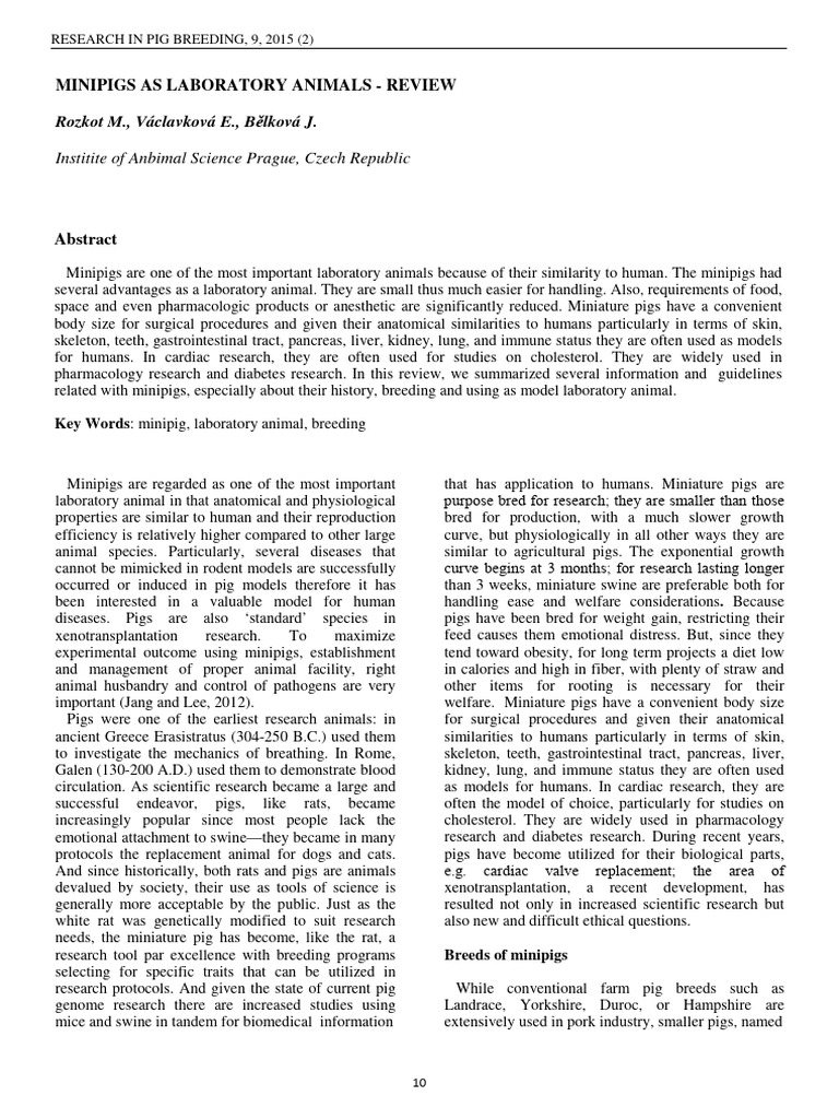 Minipigs: Key Laboratory Animal Insights | PDF | Pig | Animal Testing