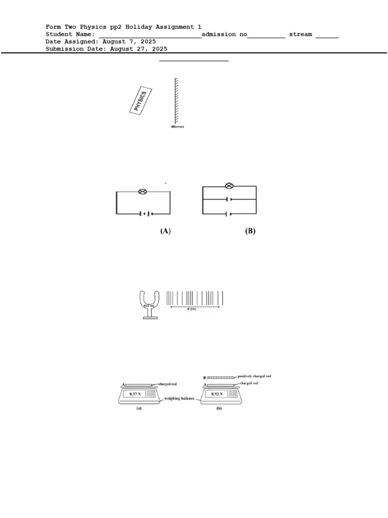 Form Two Physics Holiday Assignment | PDF | Waves | Mirror