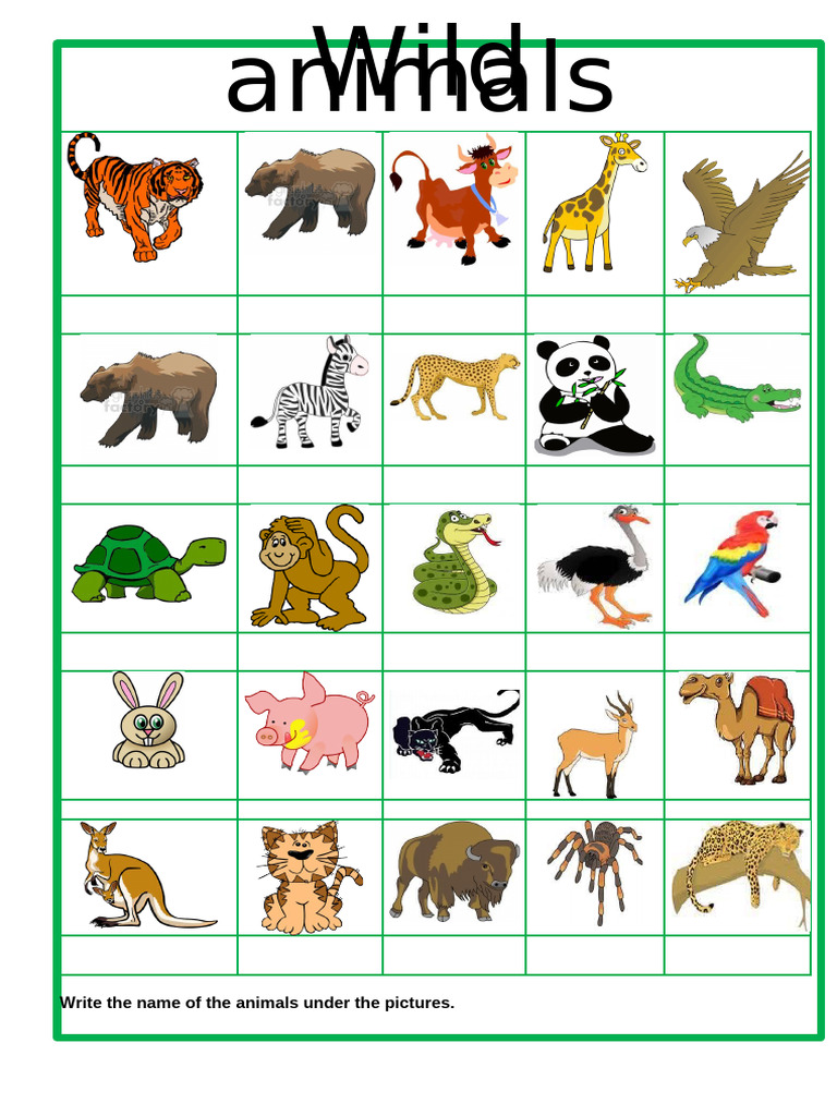 Identify Wild Animals by Picture | PDF