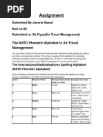 Aviation Phonetic Alphabet Guide | PDF | Naming Conventions | Notation