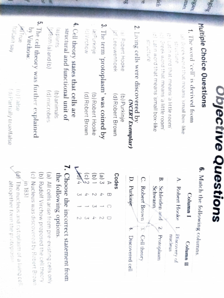 CH Cell Arihant Sample Paper | PDF