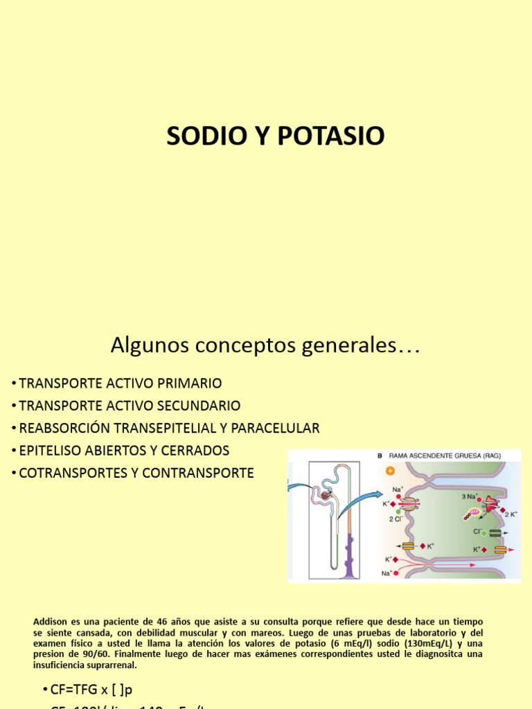 Regulación de Sodio y Potasio en el Cuerpo | PDF | Sodio | Potasio