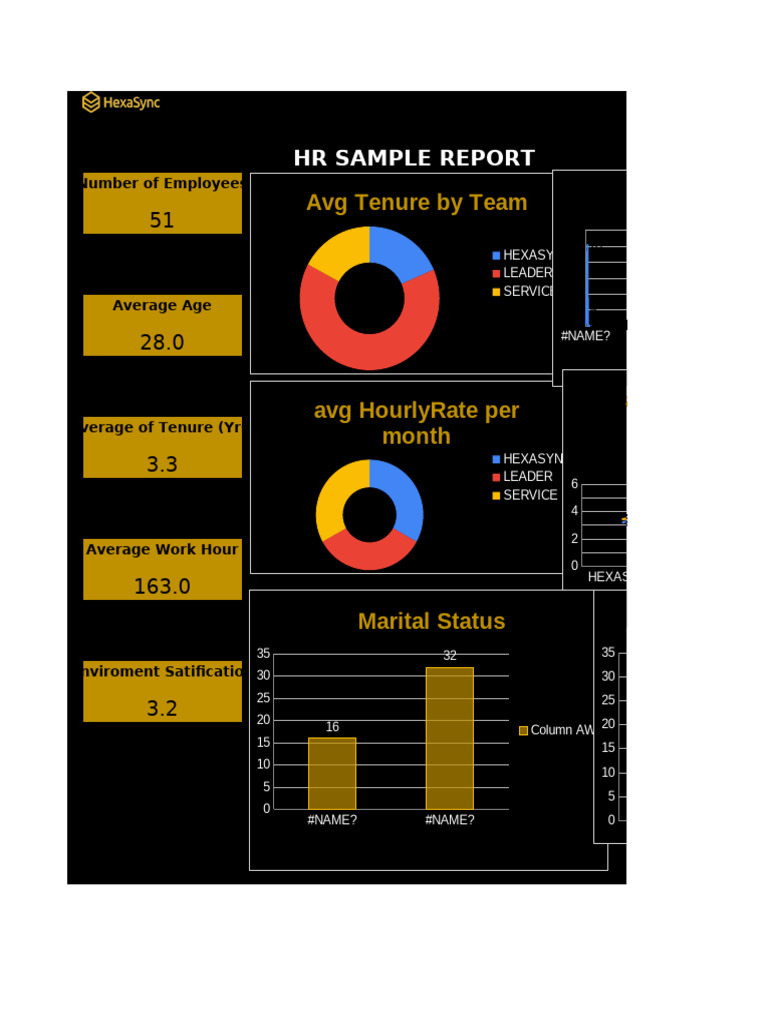 HR Employee Metrics Overview Report | PDF