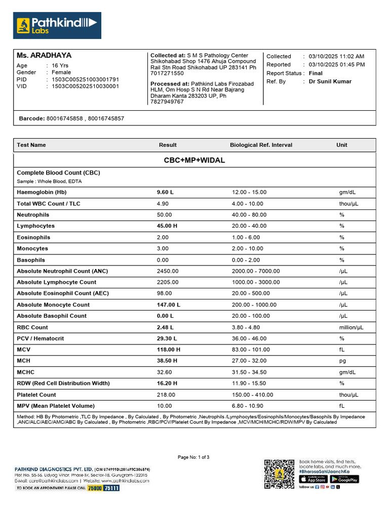 CBC, MP, and Widal Test Results Summary | PDF | Blood | Immunology