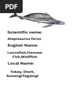 Local Fish Names in Tagalog | PDF | Recreational Fishing | Fish