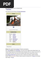 Download mamalia by YopaLim ZansTra Aritonang SN93184279 doc pdf