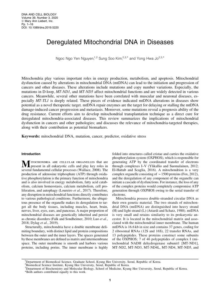 Deregulated Mito Dna in Disease | PDF | Mitochondrion | Mitochondrial Dna