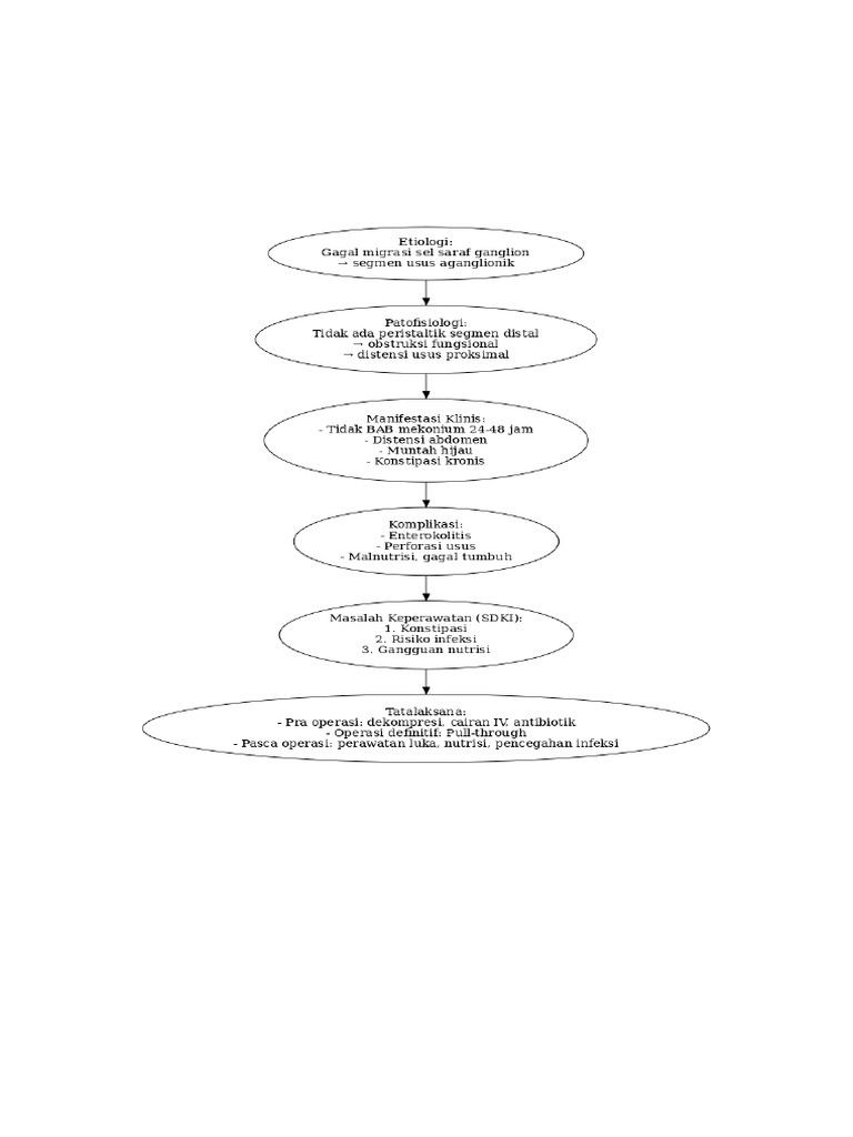 Pathway Hirschsprung | PDF