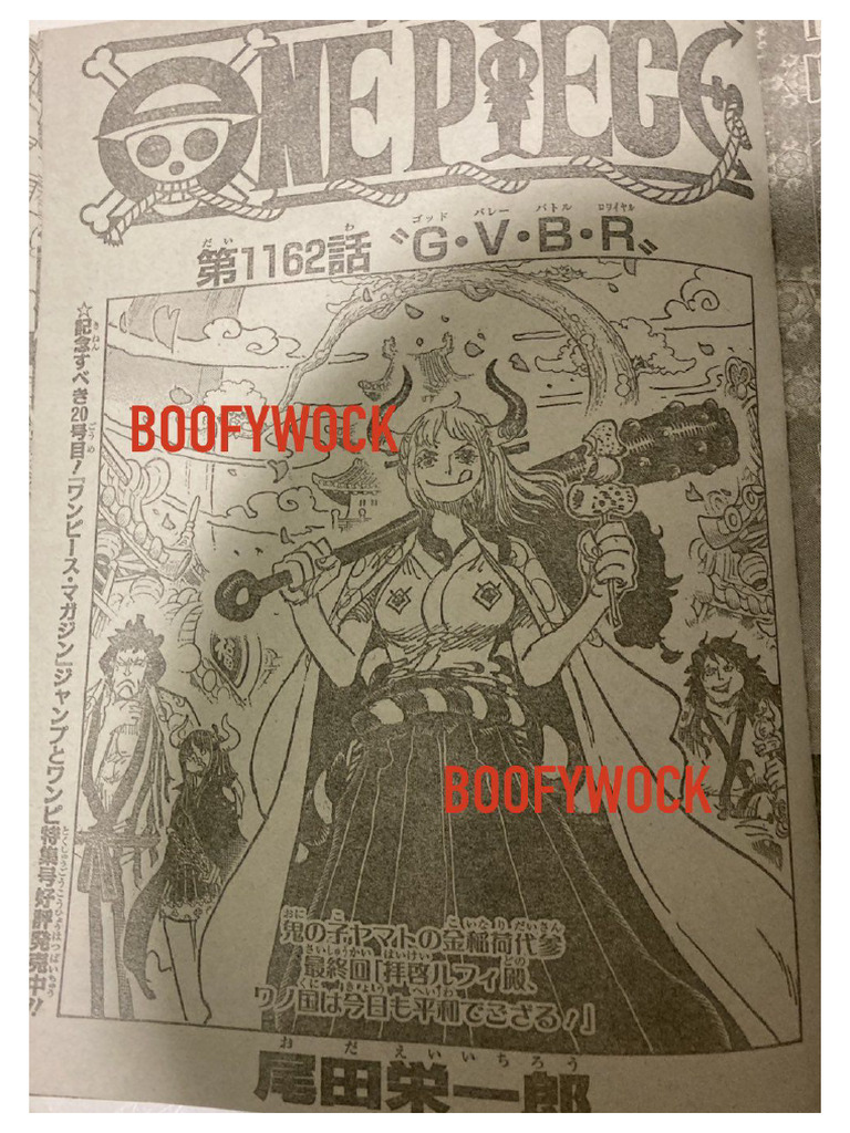 One Piece Chapter 1162 RAW PDF