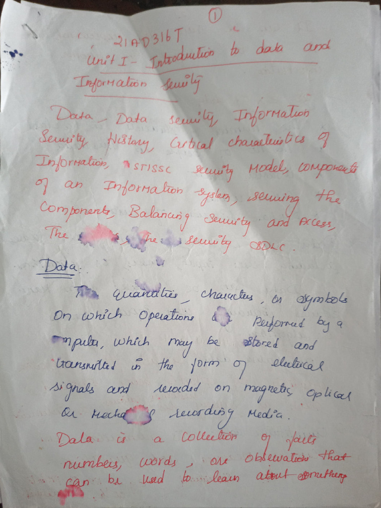 DIS UNIT 1 Handwritten Notes | PDF