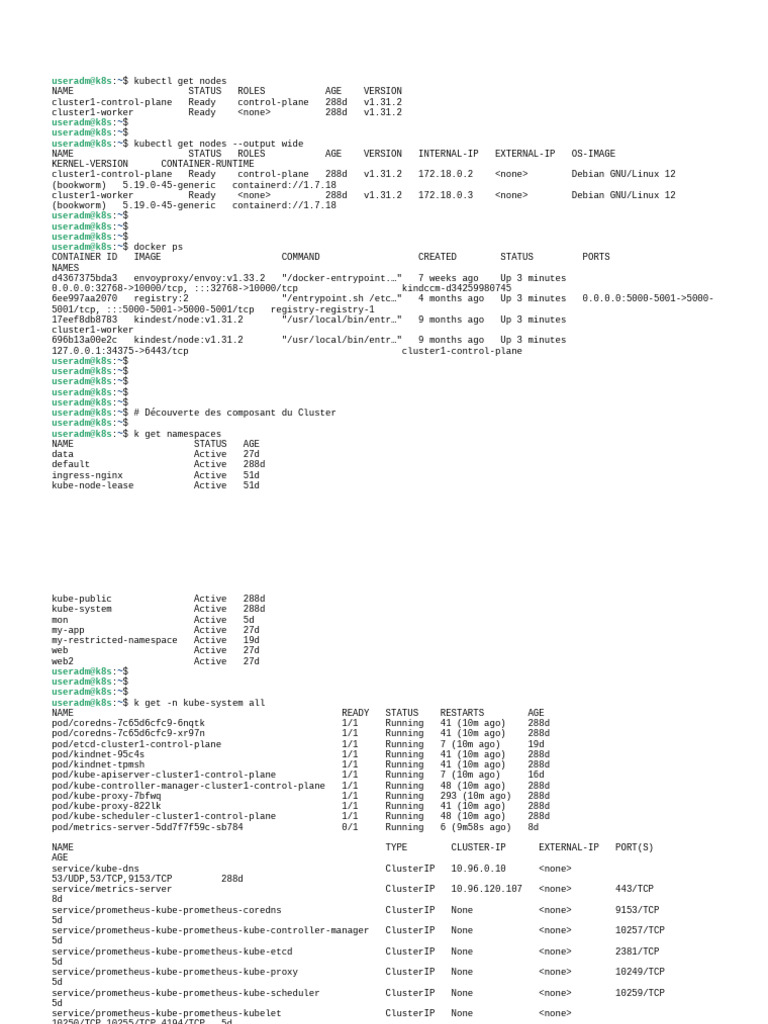 Kubernetes Cluster Node Overview | PDF | Networking Standards ...