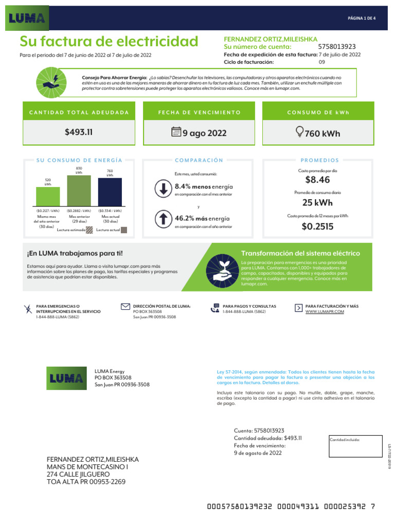 Factura de Electricidad: Resumen y Consejos | PDF | Electricidad