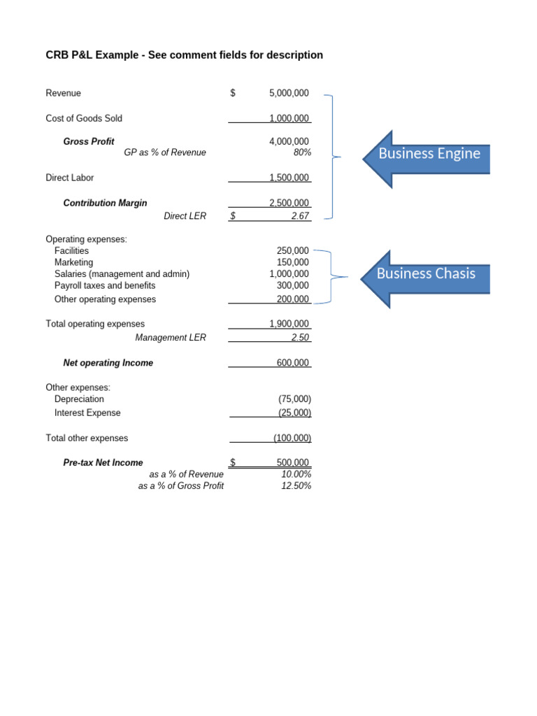 CRB Profit and Loss Statement Example | PDF