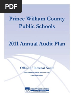 Audit Plan