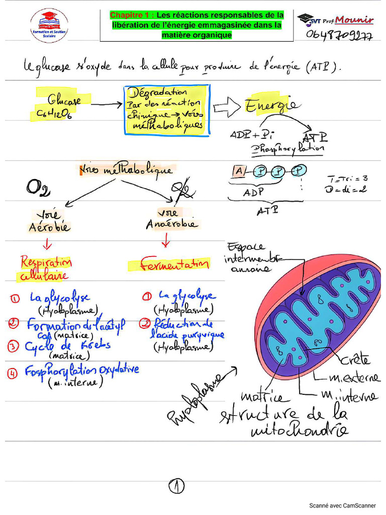 Résumé Chapitre 1 ATP | PDF