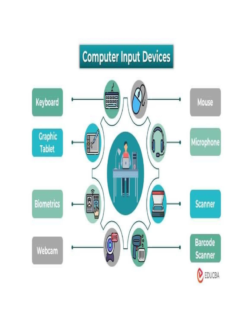 Input Output | PDF