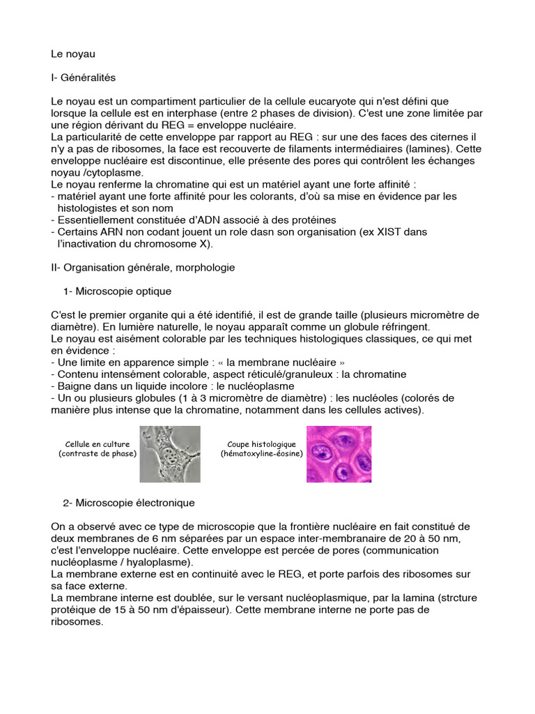 Structure et fonction du noyau cellulaire | PDF | Noyau (biologie ...