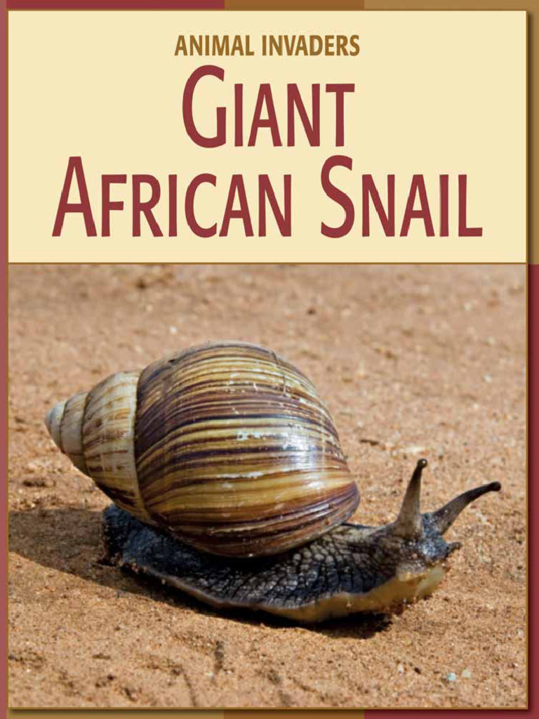 Giant African Snail: Invasive Species Guide | PDF | Mollusca