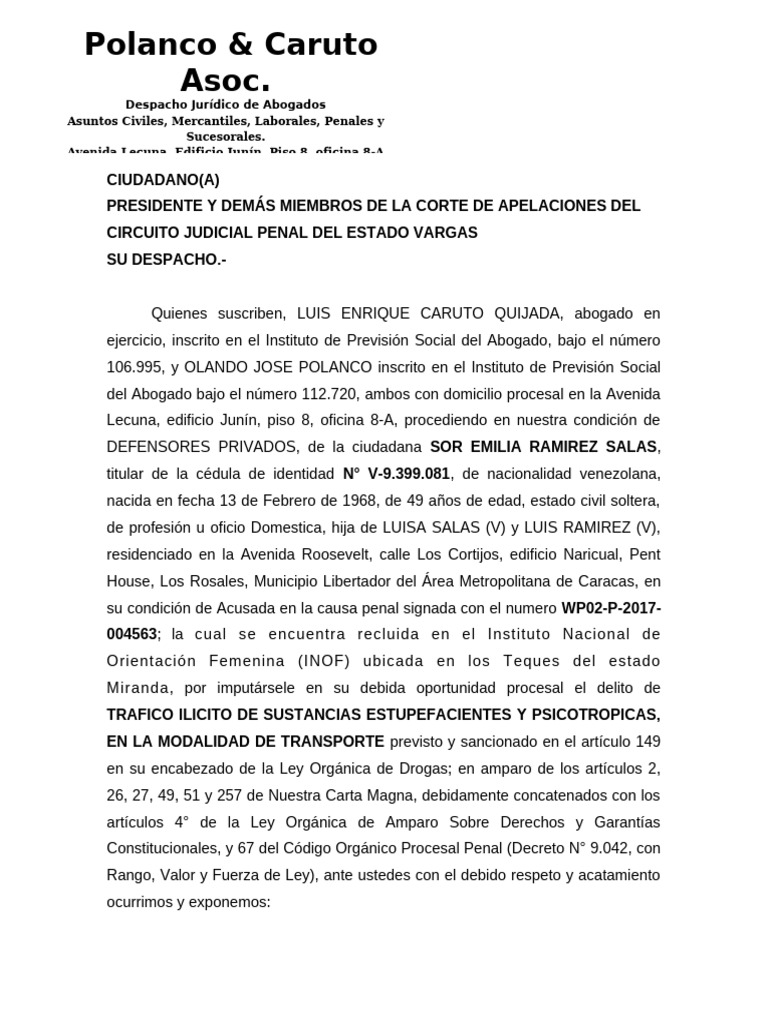 Acción de Amparo Constitucional Sor Emilia | PDF | Judicaturas | Apelación