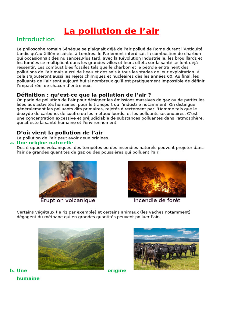 Pollution de l'air : causes et solutions | PDF | Pollution de l'air ...
