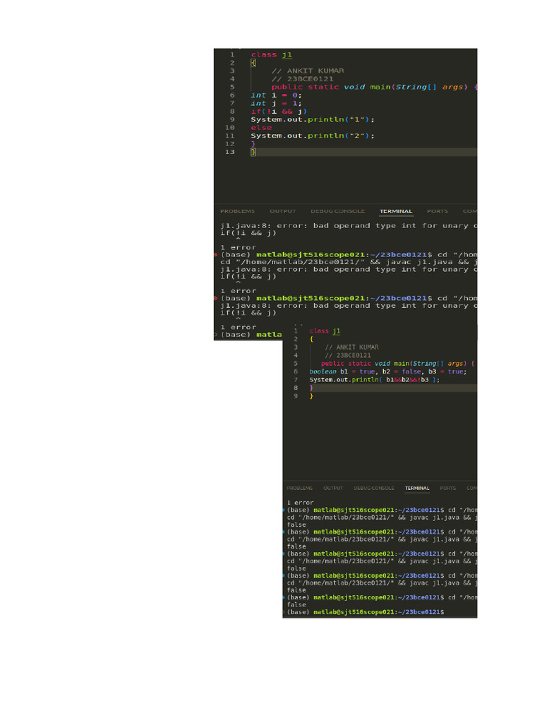 Code Snippets for Triangle Validity and Revenue Calculation | PDF