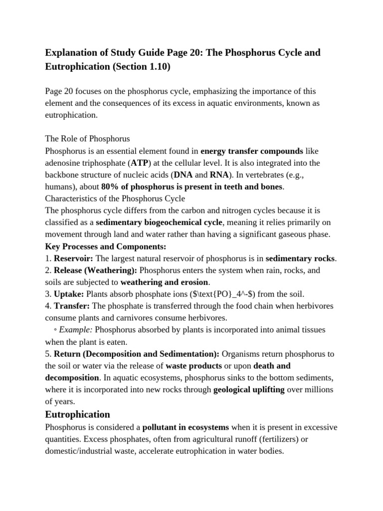 Phosphorus Cycle and Eutrophication Explained | PDF