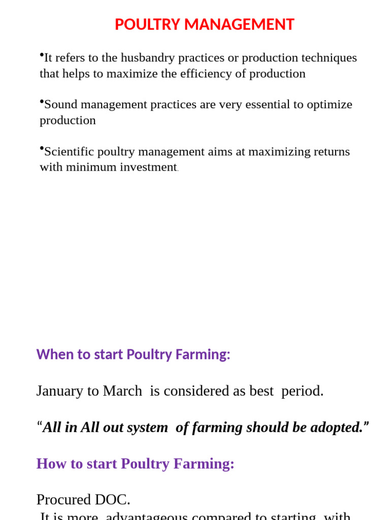 Effective Poultry Management Practices | PDF | Poultry Farming | Birds