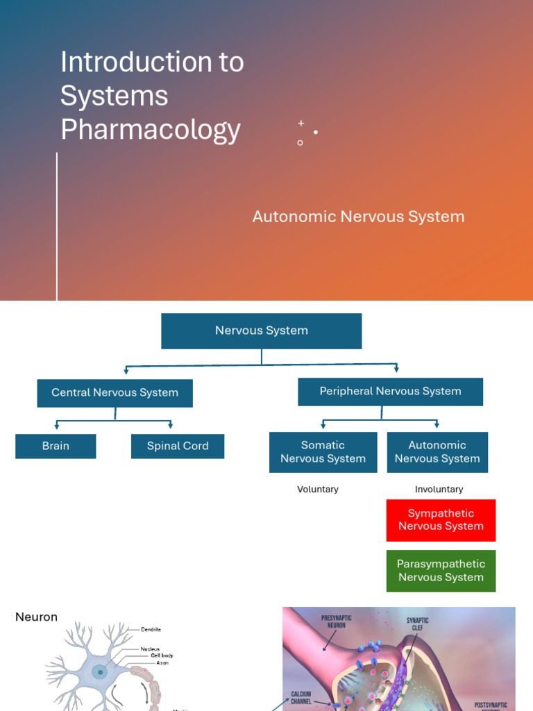 Overview of Autonomic Nervous System | PDF | Acetylcholine | Autonomic ...