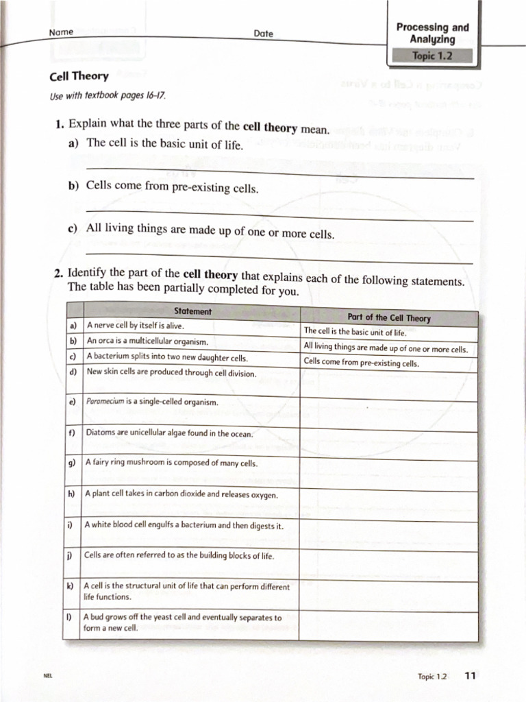 Science Work Book | PDF