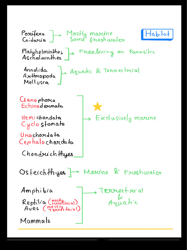 Animal Kingdom Classification Overview | PDF | Vertebrates | Zoology