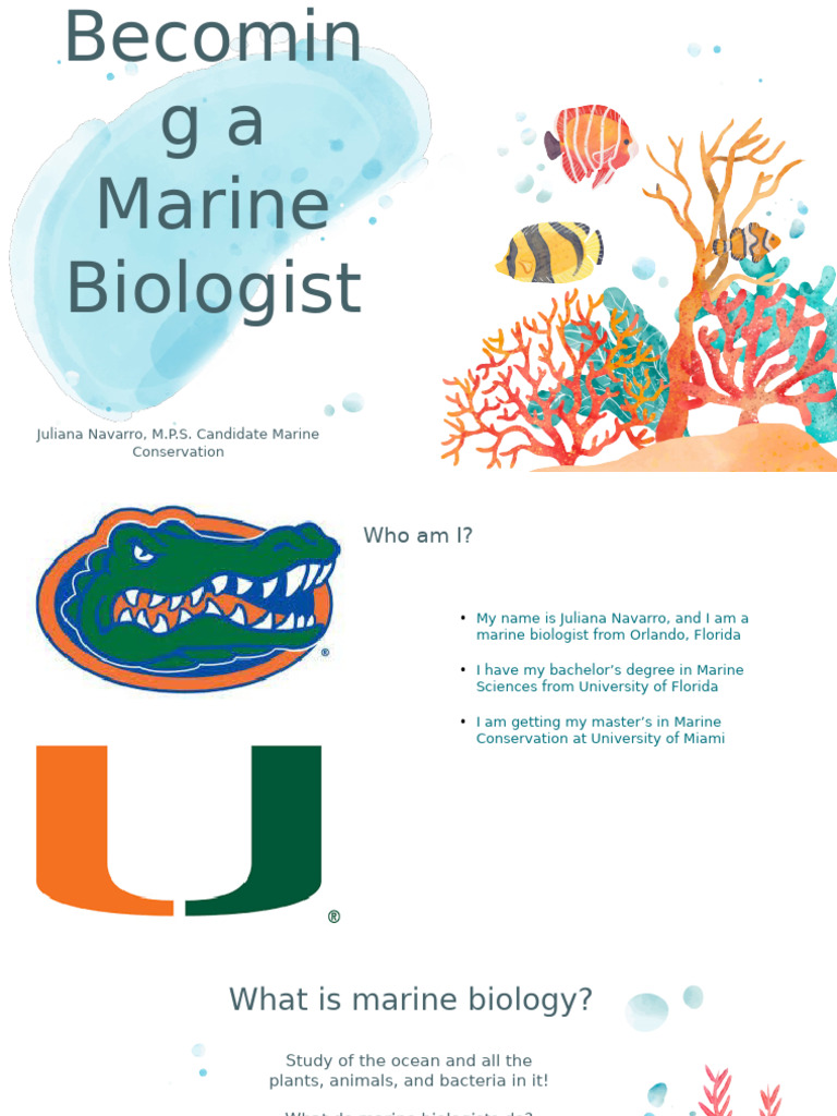 Journey to Becoming a Marine Biologist | PDF | Marine Biology | Sea Turtle