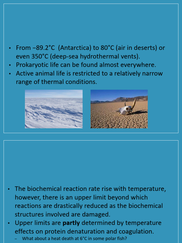 Thermal Adaptations in Animals | PDF | Thermoregulation | Heat Transfer