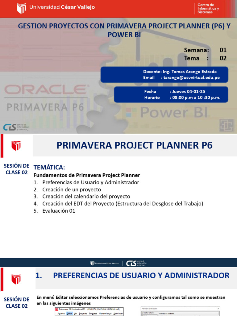 Gestión de Proyectos con Primavera P6 y Power BI | PDF | Ventana ...