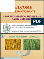 Wheat Production Technology Science Nutrition Business Cropping Breeding