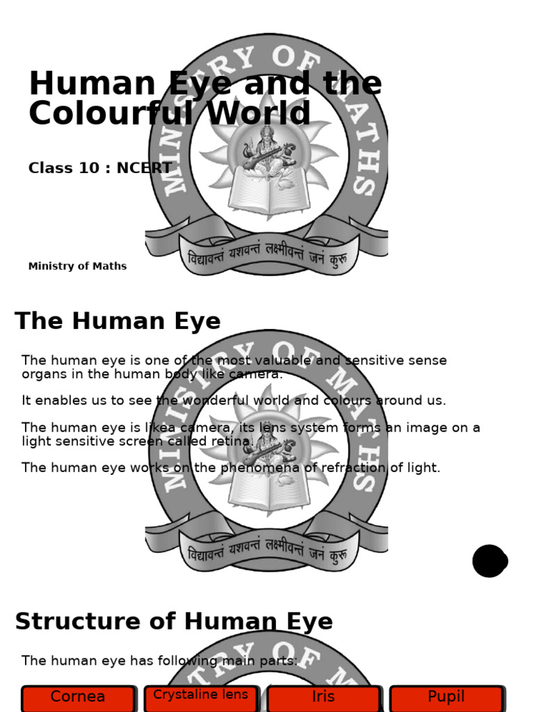 10 Human Eye | PDF | Eye | Human Eye