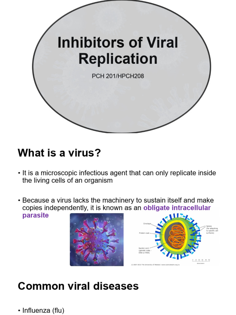 Inhibitors of Viral Replication Explained | PDF | Virus | Antiviral Drug