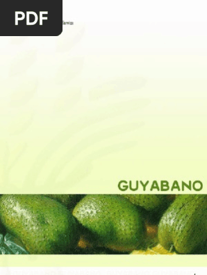 Guyabano Pdf Juice Soil