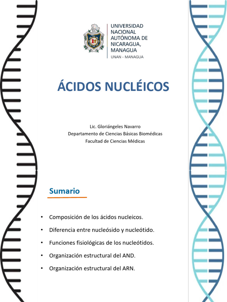 Estructura y Funciones de Ácidos Nucleicos | PDF | Cromosoma | Adn