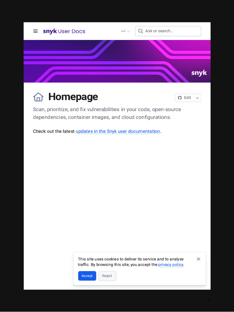 Snyk User Documentation Overview | PDF