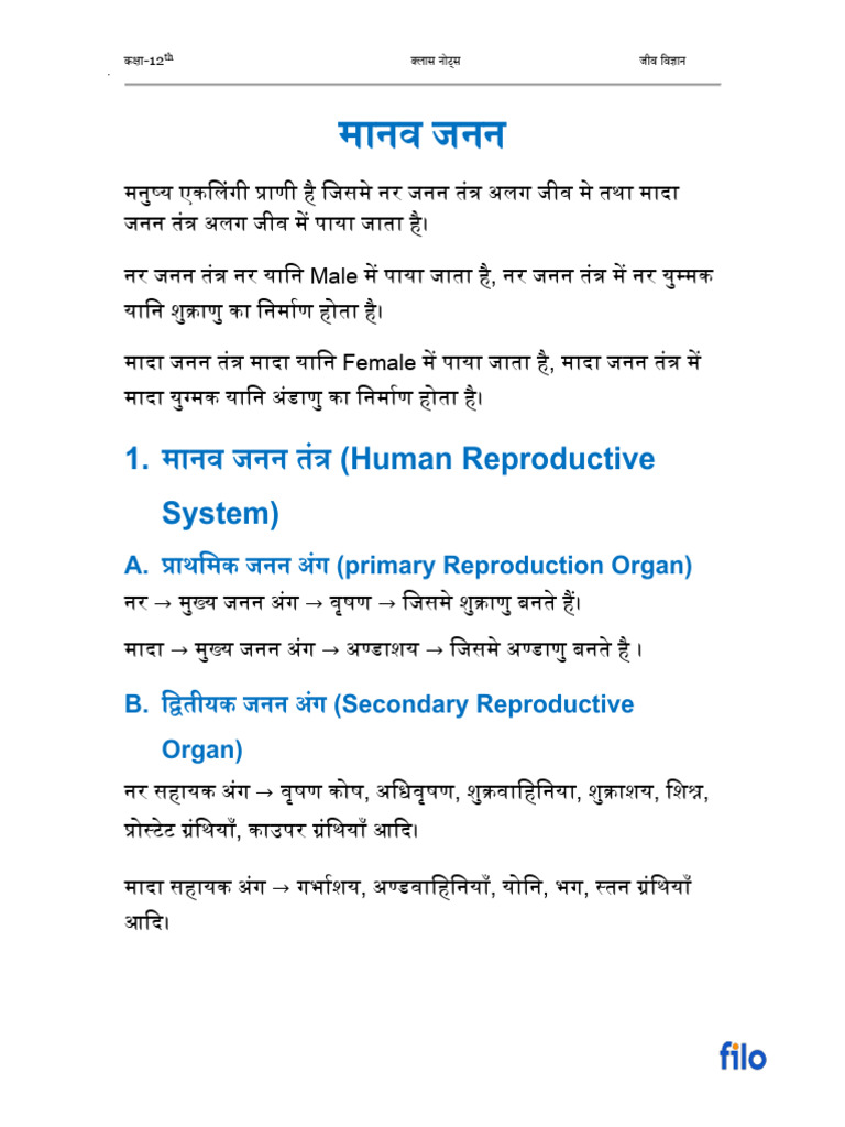 Human Reproduction Class Notes Hin | PDF