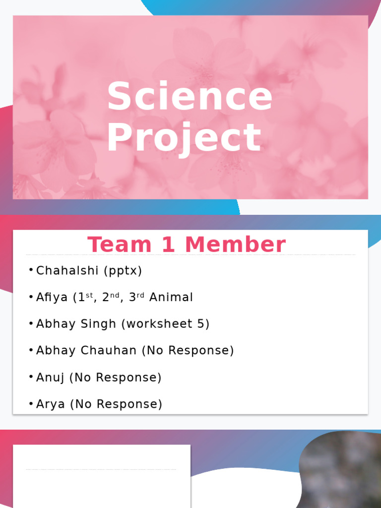 Science Project Team 1 | PDF