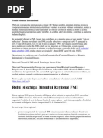 Despre FMI