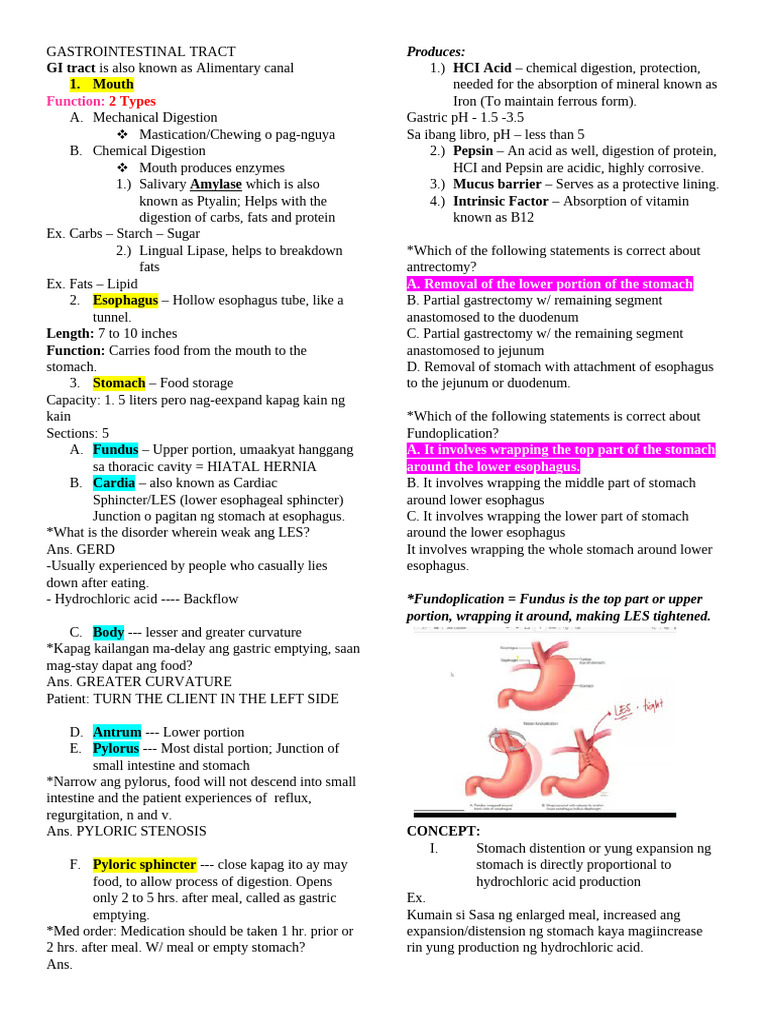 GI Tract Overview and Disorders | PDF | Stomach | Digestion