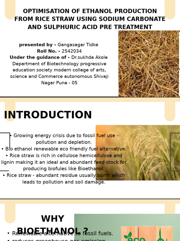 Ethanol Production from Rice Straw Optimization | PDF | Fermentation ...