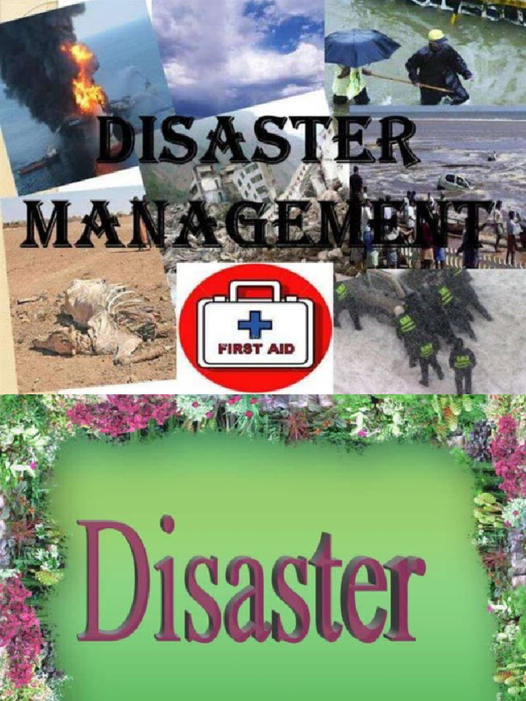 Disaster | PDF