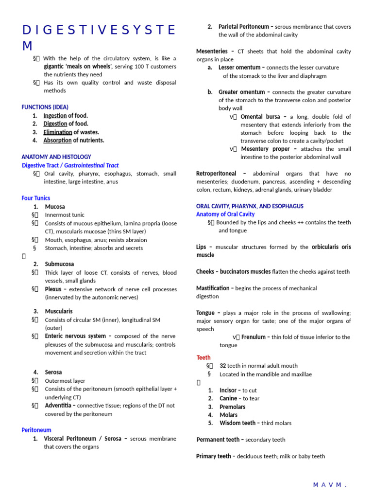 Digestive System Anatomy and Functions | PDF | Stomach | Liver