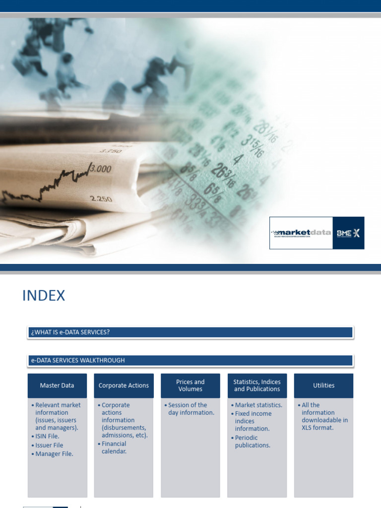 E-Data Services Web BMEMD Eng | PDF | Microsoft Excel | Interest Rates