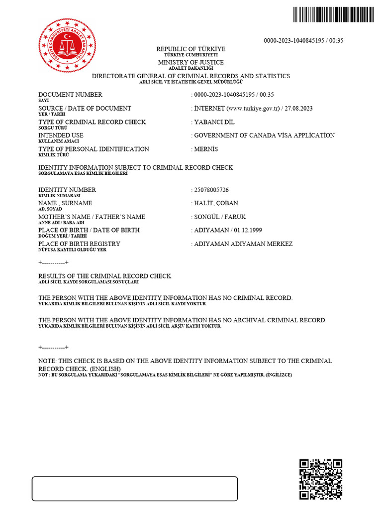 Criminal Record | PDF